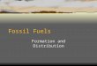 Fossil Fuels Formation and Distribution. Fossil Fuels  Coal  Oil (Petroleum)  Natural Gas