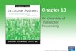 Chapter 13 An Overview of Transaction Processing