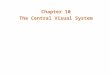 Chapter 10 The Central Visual System. Introduction Neurons in the visual system –Neural processing results in perception Parallel pathway serving conscious