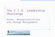 The C.I.O. Leadership Challenge Roles, Responsibilities and Change Management
