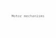Motor mechanisms. Keywords (reading p. 1014- 1020) Bundle, fiber, myofibril, sarcomere Z-line, thick filament, thin filament Actin, myosin, sliding filament