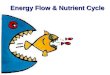 Energy Flow & Nutrient Cycle. Food Chains Artificial devices to illustrate energy flow from one trophic level to another Trophic Levels: groups of organisms