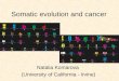 Natalia Komarova (University of California - Irvine) Somatic evolution and cancer