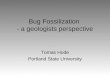 Bug Fossilization - a geologists perspective Tomas Hode Portland State University
