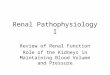 Renal Pathophysiology I Review of Renal Function Role of the Kidneys in Maintaining Blood Volume and Pressure