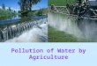 Pollution of Water by Agriculture Vicki Chapman Vanina Guevel Anne Newson Tony