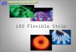 LED Flexible Strip. LED Flexible Stip Model number: SP-4001-12-5M Specification: - LED: 3528 SMD - LED number: 60 pcs/M - Size: W8 * H2.3mm - Max. length