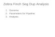 Zebra Finch Seg Dup Analysis 1.Genome 2.Parameters for Pipeline 3.Analysis