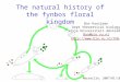 The natural history of the fynbos floral kingdom Bas Kooijman Dept theoretical biology Vrije Universiteit Amsterdam Bas@bio.vu.nl
