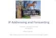 IP Addressing and Forwarding COS 461: Computer Networks Spring 2011 Mike Freedman  1