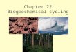 Chapter 22 Biogeochemical cycling. The Universe When? How? 15 X 10 9 years ago Matter existed in its most fundamental form. Elements formed as universe