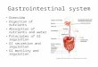 Gastrointestinal system Overview Digestion of nutrients Absorption of nutrients and water Principles of GI regulation GI secretion and regulation GI motility