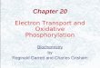 Chapter 20 Electron Transport and Oxidative Phosphorylation Biochemistry by Reginald Garrett and Charles Grisham