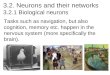 3.2. Neurons and their networks 3.2.1 Biological neurons Tasks such as navigation, but also cognition, memory etc. happen in the nervous system (more