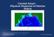 Carried Away! - Physical Dispersal of Marine Debris