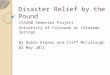 Disaster Relief by the Pound CS5260 Semester Project University of Colorado at Colorado Springs By Robin Kimzey and Cliff McCullough 02 May 2011