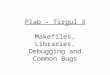 Plab – Tirgul 3 Makefiles, Libraries, Debugging and Common Bugs