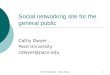 HICSS Socialware - Cathy Dwyer1 Social networking site for the general public Cathy Dwyer Pace University cdwyer@pace.edu