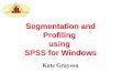 Segmentation and Profiling using SPSS for Windows Kate Grayson