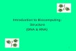 1 Introduction to Biocomputing: Structure (DNA & RNA)