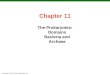 Copyright © 2010 Pearson Education, Inc. Chapter 11 The Prokaryotes: Domains Bacteria and Archaea