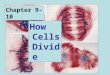 How Cells Divide Chapter 9-10. Cell Division *growth and repair *reproduction
