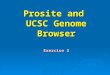 Prosite and UCSC Genome Browser Exercise 3. Protein motifs and Prosite