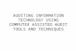 AUDITING INFORMATION TECHNOLOGY USING COMPUTER ASSISTED AUDIT TOOLS AND TECHNIQUES