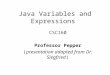 Java Variables and Expressions CSC160 Professor Pepper (presentation adapted from Dr. Siegfried)