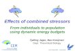 Effects of combined stressors Tjalling Jager, Bas Kooijman Dept. Theoretical Biology From individuals to population using dynamic energy budgets