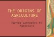 THE ORIGINS OF AGRICULTURE Hunter-Gatherers to Agrarians