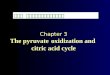 第三节 丙酮酸氧化脱羧与三羧酸循环 Chapter 3 The pyruvate oxidization and citric acid cycle