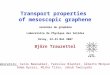 Transport properties of mesoscopic graphene Björn Trauzettel Journées du graphène Laboratoire de Physique des Solides Orsay, 22-23 Mai 2007 Collaborators: