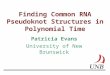 Finding Common RNA Pseudoknot Structures in Polynomial Time Patricia Evans University of New Brunswick