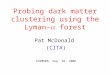 Probing dark matter clustering using the Lyman-  forest Pat McDonald (CITA) COSMO06, Sep. 28, 2006