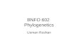 BNFO 602 Phylogenetics Usman Roshan. Summary of last time Models of evolution Distance based tree reconstruction –Neighbor joining –UPGMA