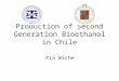 Production of Second Generation Bioethanol in Chile Pia Wiche