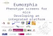 Eumorphia Phenotype screens for mice Developing an integrated platform