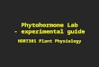 Phytohormone Lab - experimental guide HORT301 Plant Physiology