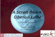 A Stroll Down Oberon Lane A User’s Perspective by Alan Freed adfreed@svsu.edu