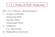 1 Ref: Ch. 5 Mount: Bioinformatics i.Protein synthesis: ribosomal RNA transfer RNA messenger RNA ii.Catalysis e.g. ribozymes iii.Regulatory molecules 17.1