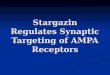 Stargazin Regulates Synaptic Targeting of AMPA Receptors