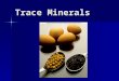 Trace Minerals. Minerals in the Body The Trace Minerals Needed in much smaller amounts Needed in much smaller amounts Are essential Are essential Difficult