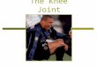 The Knee Joint.  Hinge joint?  Double-condyloid joint Flexion and Extension Internal and External Rotation  The locking of the knee into full extension