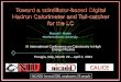 CALICE Toward a scintillator-based Digital Hadron Calorimeter and Tail-catcher for the LC Manuel I. Martin Northern Illinois University XI International