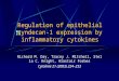 Richard M. Day, Tracey J. Mitchell, Stella C. Knight, Alastair Forbes Cytokine 21 (2003) 224–233 Regulation of epithelial syndecan-1 expression by inflammatory