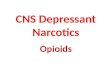 CNS Depressant Narcotics Opioids. CNS Depressants Opioids CNS Depressants Narcotics Opium, Morphine, Codeine, Thebaine, Heroin, Oxycodone, Fentanyl