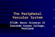 The Peripheral Vascular System ST120: Basic Sciences II Concorde Career College, Portland