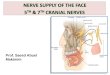 Prof. Saeed Abuel Makarem. OBJECTIVES By the end of the lecture, students should be able to:  List the nuclei of the deep origin of the trigeminal and