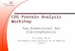 CEG Protein Analysis Workshop Two-Dimensional Gel Electrophoresis Yu Liang, Ph.D. Proteomics Core Facility at UC Medical Center